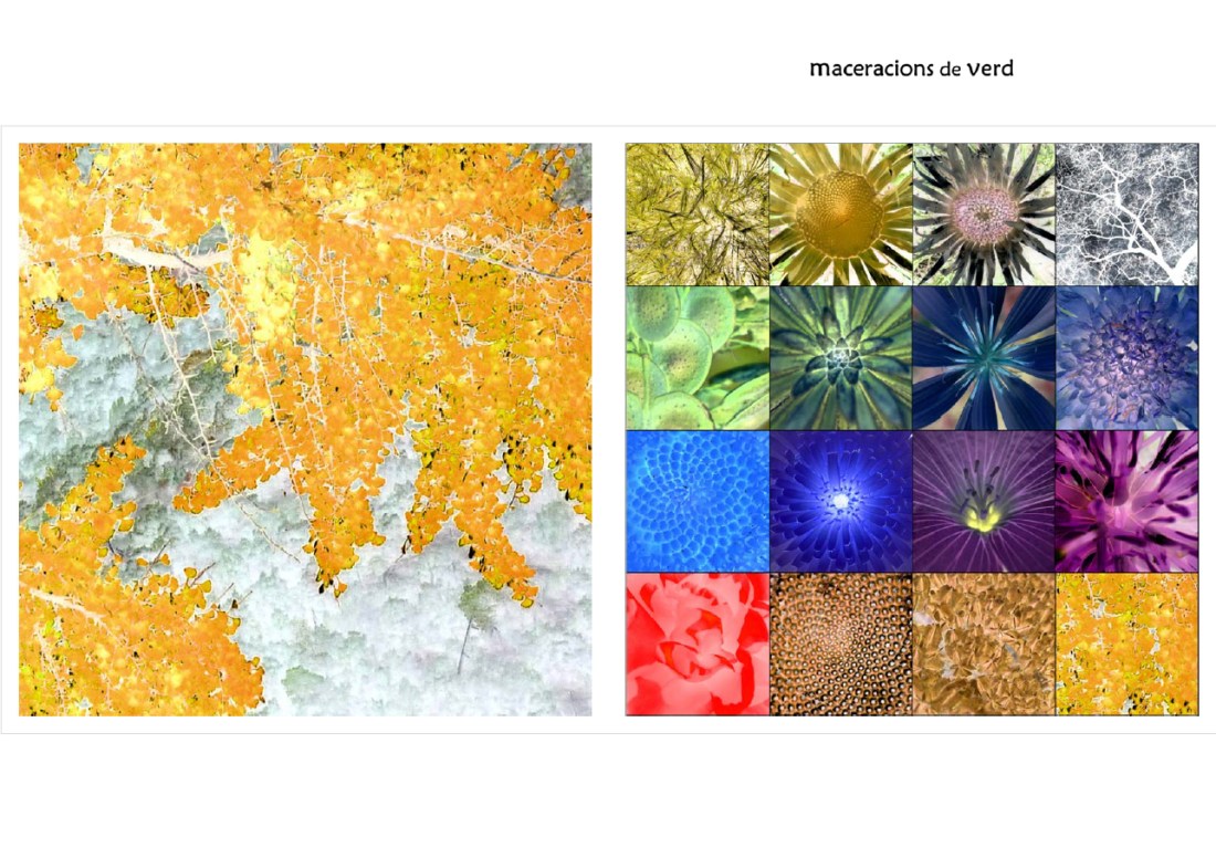 - MaceracionsVerd_v01
